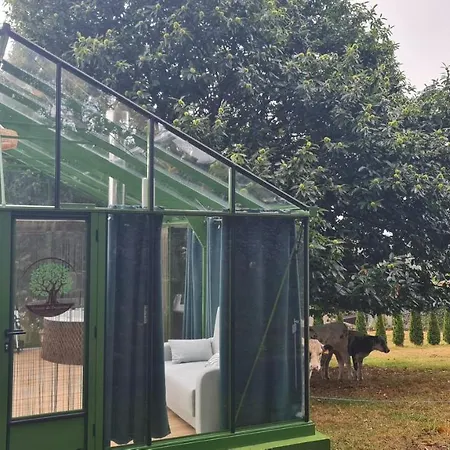 Remanso De Trasfontao_nido 360° Luxury tent *